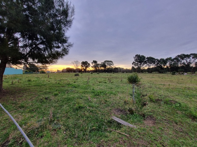 Loteo Loteo MADARIAGA OPORTUNIDAD UNICA en: Madariaga , zona: Martin Fierro