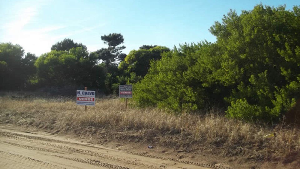 Lote Andrea